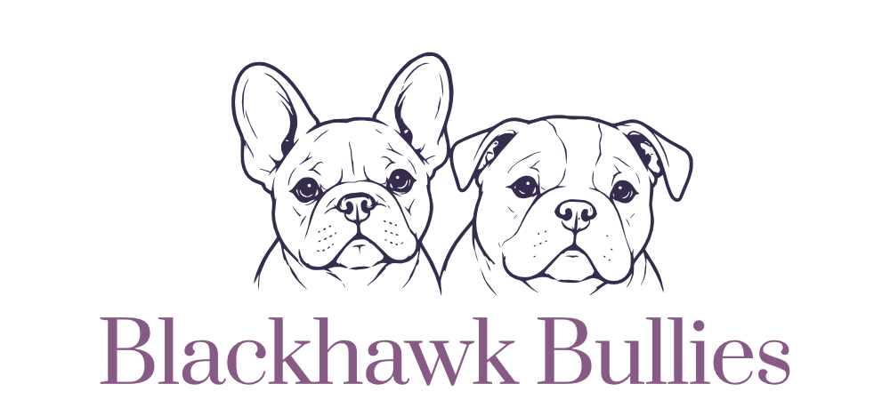 Blackhawk Bullies Logo Mobile