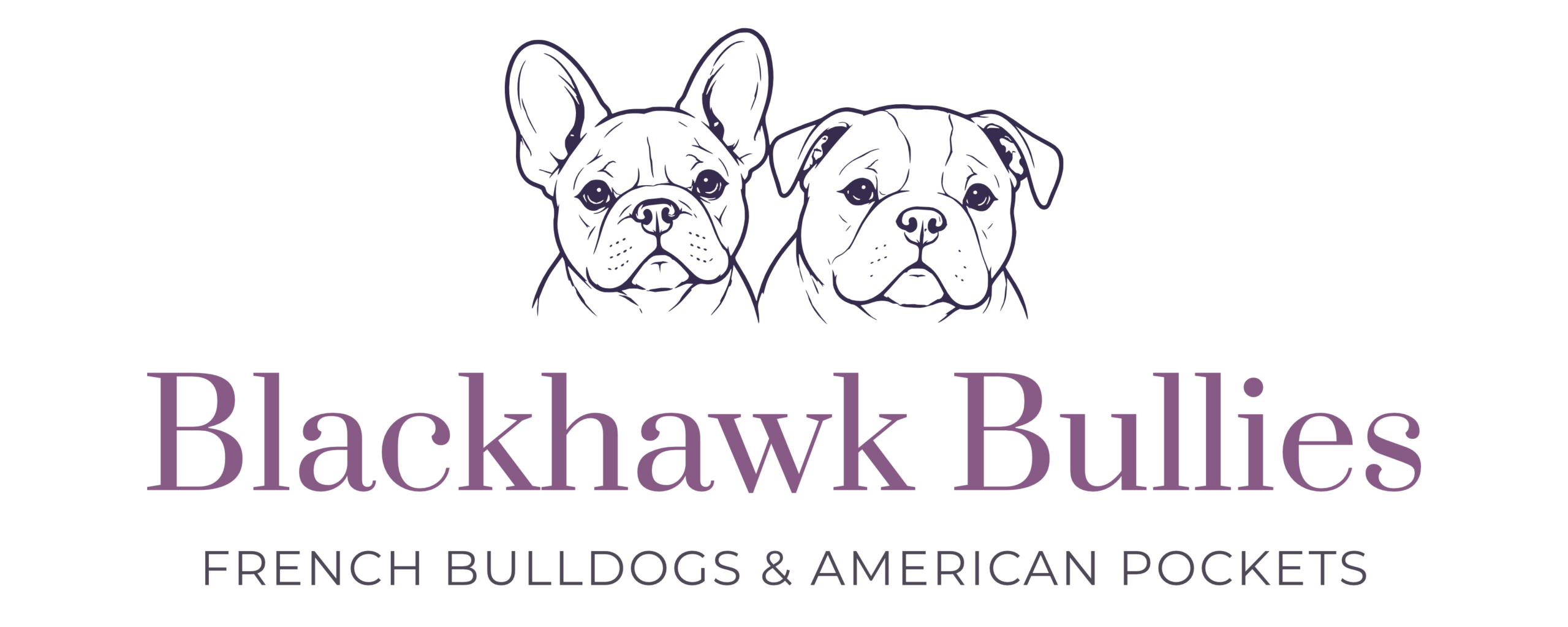 Blackhawk Bullies Adelaide