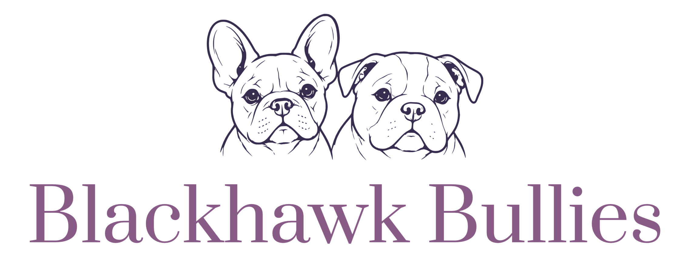 Blackhawk Bullies Adelaide